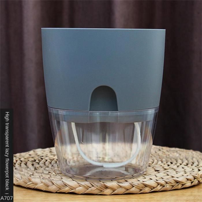 TOYANDONA 2pièces Lot De Inserts Arrosage Automatique Transparents Pour Plantes Dispositif Arrosage Pour Plantes Pot Outils Automatique