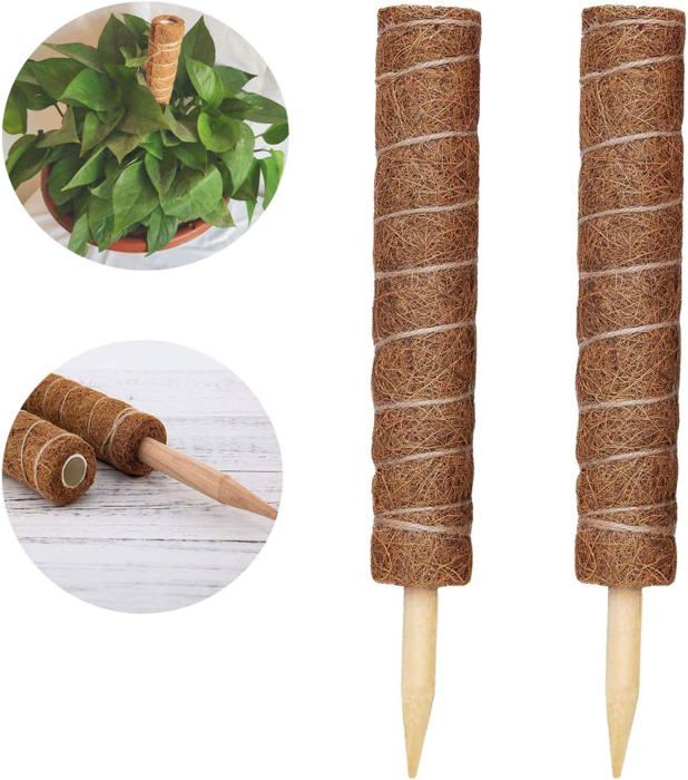 Tuteur En Bois Carré Windhager 2,2 X 2,2 X 200 Cm – Piquet Pour Plantes, Jardin, Potager, Support Solide