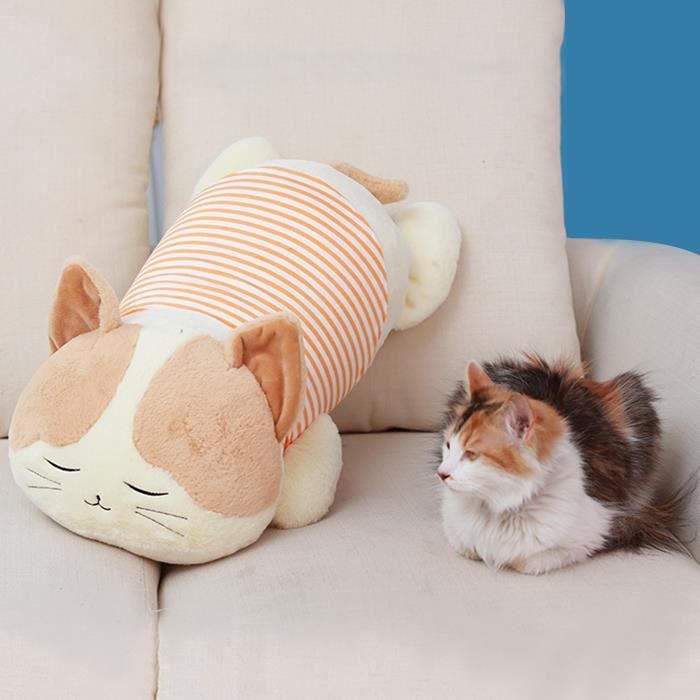 doudou pour chat