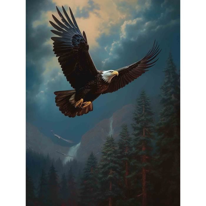 Eiialerm Kreuzstich Set Rote Mohnblume - Vorgedruckte Leinwand 40x50cm Für Anfänger