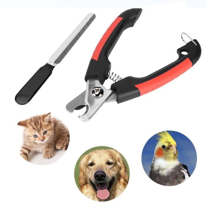 Coupeongles Coupeongles pour chiens et chats Grand coupeongles