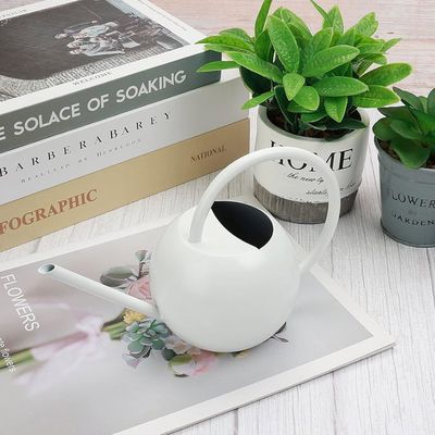 Arrosoir Métallique Galvanisé 5 Litres Avec Bec Long Et Buse D'arrosage - Pour Intérieur Et Extérieur - Design élégant Et Durable - 7