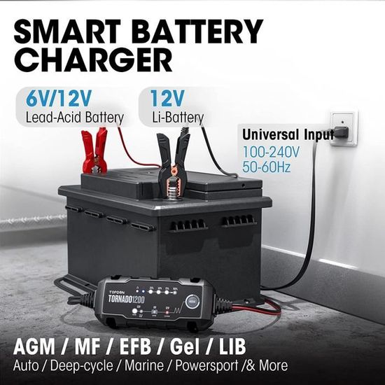 Chargeur de batterie de voiture 12V 6A Smart Battery Trickle Charger  Automobile 12V 24V Mainteneur de batterie Désulfateur avec compensation de  température pour camion de voiture
