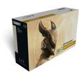 Ecran PC Gamer - IIYAMA G-Master Gold Phenix GB2590HSU-B1 - 24.5" FHD - Dalle Fast IPS - 0.4ms - 240Hz - HDMI / DP / USB - Freesync-5