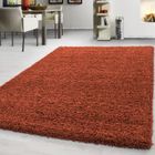 TAPISWORLD Teppium Uni Tapis de Salon Shaggy Uni Tapis Terrecuite 60x110 cm Chambre Tapis Poil Long Moelleux et Doux