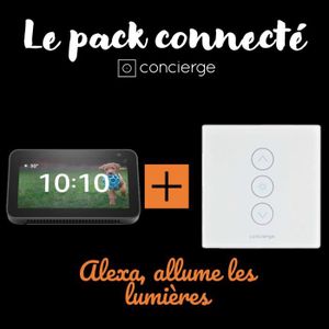 Pack Concierge x Alexa : 1 Enceinte Echo Dot 3 + 1 Ampoule vintage wifi  1874 - Cdiscount Bricolage