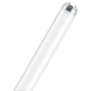 AMPOULE - LED Tube fluocompact Luminux 18 W - 60 cm - D: 16 mm - Blanc industriel - 4 000 K - boîte