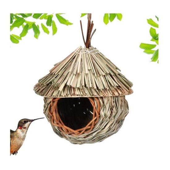 Acheter Nichoir suspendu pour colibri, pour l'extérieur, créatif, tissé à  la main, nid d'oiseau en mousse, fournitures pour animaux de compagnie,  perroquets et oiseaux