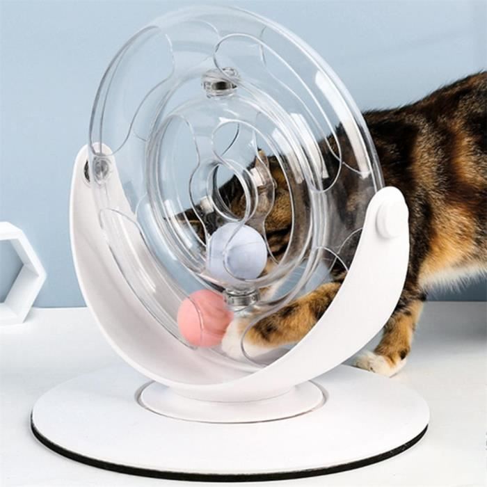 Jouet Labyrinthe Pour Chat Balle De Piste Interactive Boule Et Chasse Plaque D Attraction En Rotation A 360 Pour Chat Chaton Cdiscount Jouet Labyrinthe Pour Chat Balle De Piste Interactive Boule Et Chasse Plaque D Attraction En Rotation A 360 Pour Chat Chaton Cdiscount