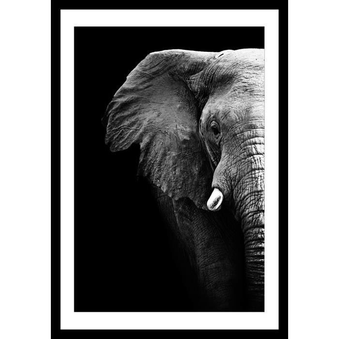 Elephant Affiche Encadree 40x60cm Elephant Noir Blanc Cdiscount Maison
