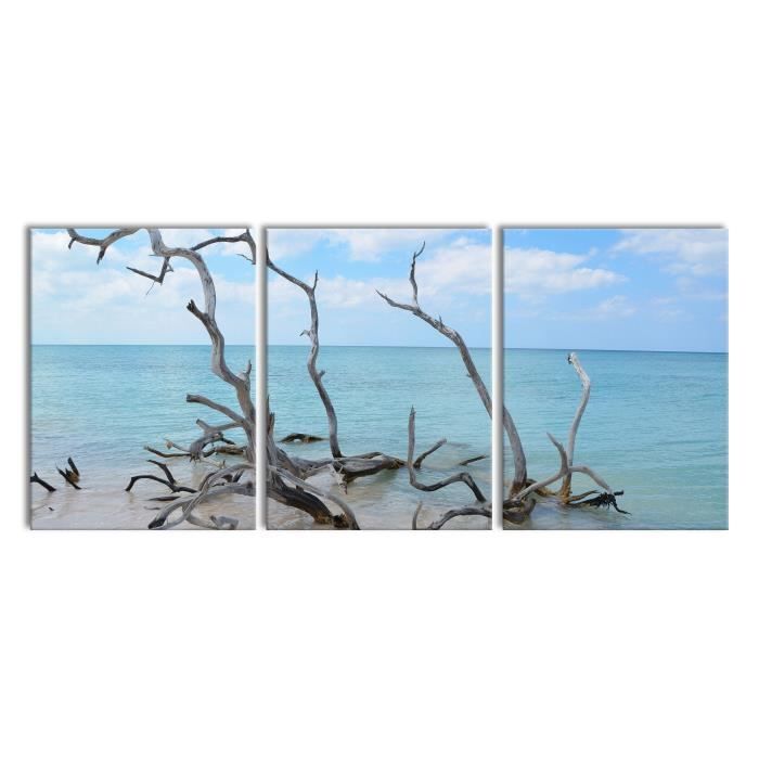 Plage avec du bois flotté à Cuba, 3 pièces XXL (180 x 80 en tout) - peinture  sur toile - décoration - impression d'art - Achat / Vente tableau - toile -  Cdiscount