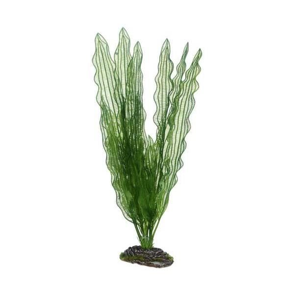 Meilleurs prix pour Plante artificielle Aponogeton 39cm