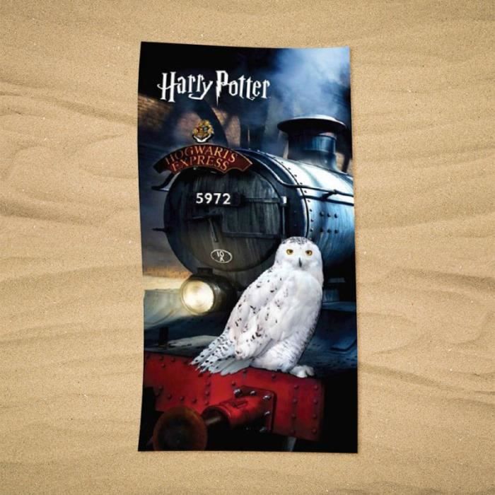 Serviette de plage sablier les 4 maisons poudalrd - Produit Harry