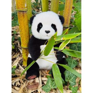 Peluche Panda Roux Wild Republic - Modèle 27720, Occasion