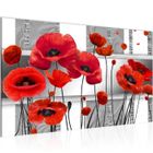 Runa art Tableau Décoration Murale Fleurs Coquelicots 70x40 cm - 1 Panneau Deco Toile Prêt à Accrocher 205814a