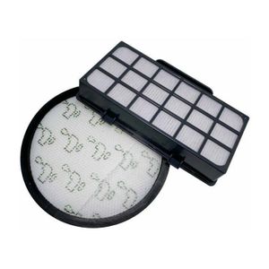 Distri - Filtre Hepa aspirateurs Compatible avec Rowenta XTREM Power, Silence Force, Green Force, Power XXL Compatible avec Tefal - Alternative aux réfs d 'origine ZR920101, RS-RT4310