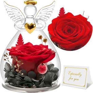 Rose Rouge Positive Peluche Œillet - Cadeau Mamie Anniversaire Noël, Carte Message "Meilleure Mamie"