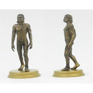 FIGURINE - PERSONNAGE Homo sapiens - Homo habis – figurine masculine, Jouet éducatif de collection palaeobos