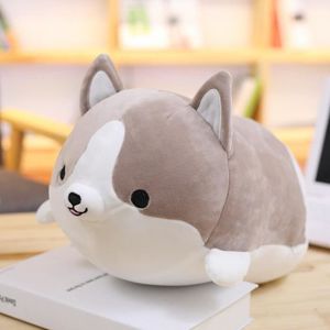 Gris 50cm Mignon Corgi Chien En Peluche Dessin Animé Oreiller En Peluche Doux Animal Beau Cadeau De Noël Pour Enfants Kawaii