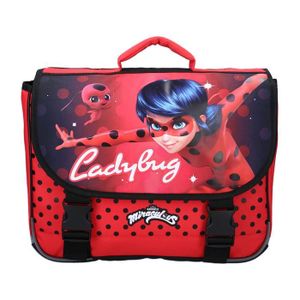 50 pièces Miraculous Ladybug Coffres à bagages autocollant Cat Noir fond  d'écran décalcomanies de voiture de mode - Cdiscount Maison