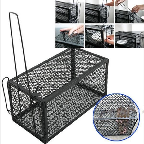 Nasse Rats Pour Souris Rongeurs Cage Nuisibles Ratière 1 Entrée 23cm