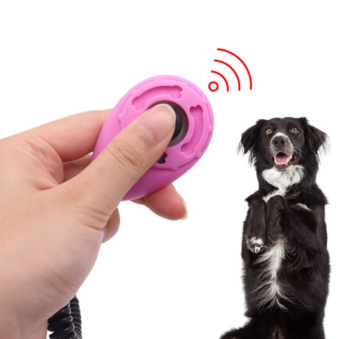 Clickers de dressage pour animaux - ULISEM - Lot de 4 - Avec dragonnes - Structure durable - Boutons métalliques