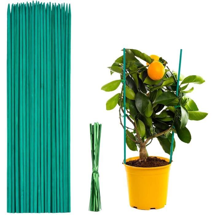 Lot De 50 Tuteurs Pour Plantes 40cm + Pinces - Support Bambou Vert Pour Tomates, Haricots, Plantes Grimpantes