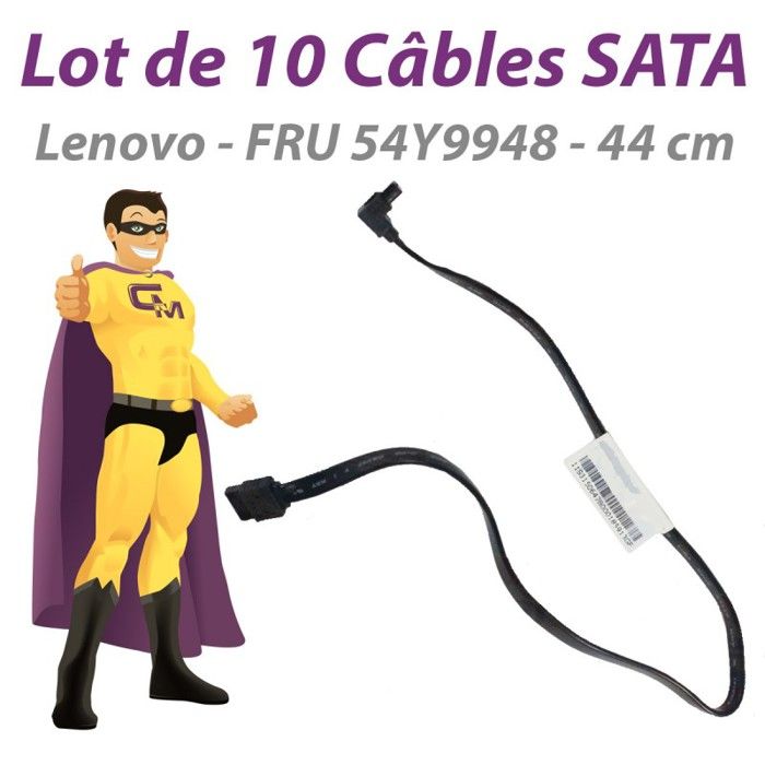 Lenovo Câbles SATA FRU 54Y9948 - vue 2
