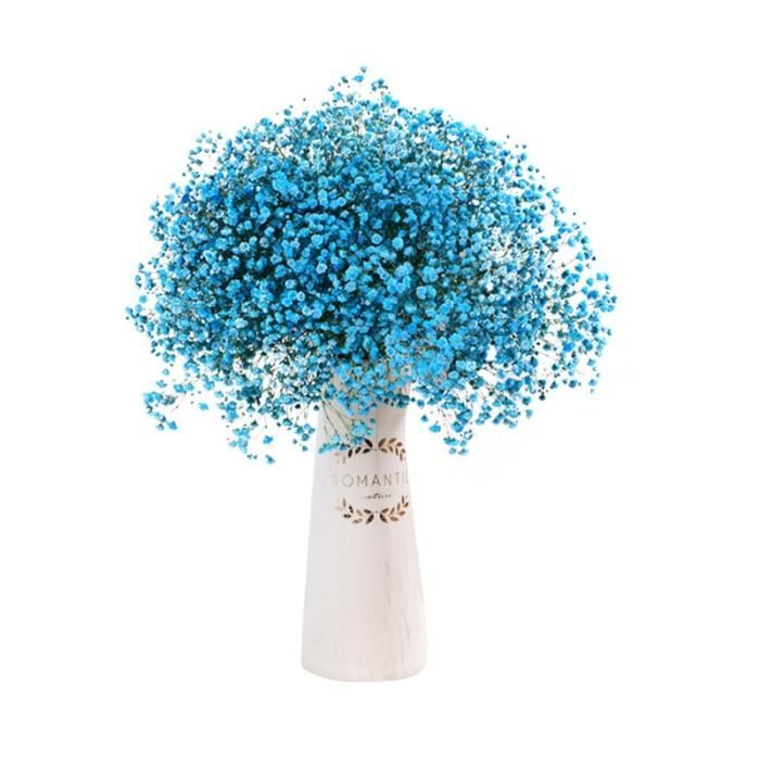 Fleurs séchées gypsophila bouquet fleur artificiel couleur naturelle sans  vase - bleu - Cdiscount Prêt-à-Porter