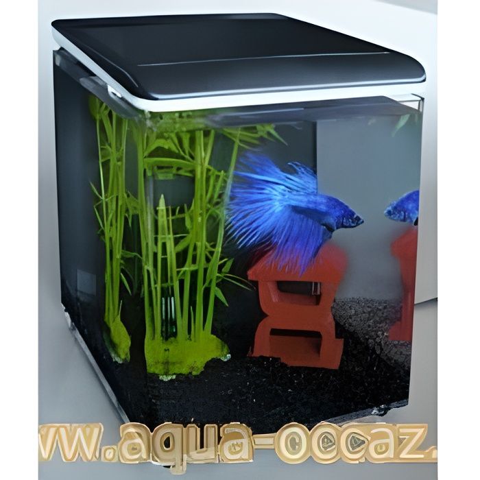 Aquarium eau de mer complet Achat / Vente pas cher