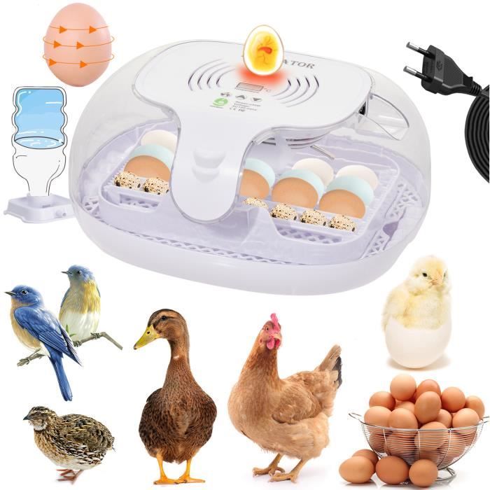 Comparer les prix de Couveuse œufs Automatique 16 œufs tourner auto per 2H +Mire-œufs ®WHD© Incubateur œufs volaille surveiller l'humidité affichige LED