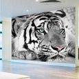 Papier peint tigre noir et blanc animaux peintures murales chambre salon canapé Tv fond Papier Peint 3D-350cm×256cm-1