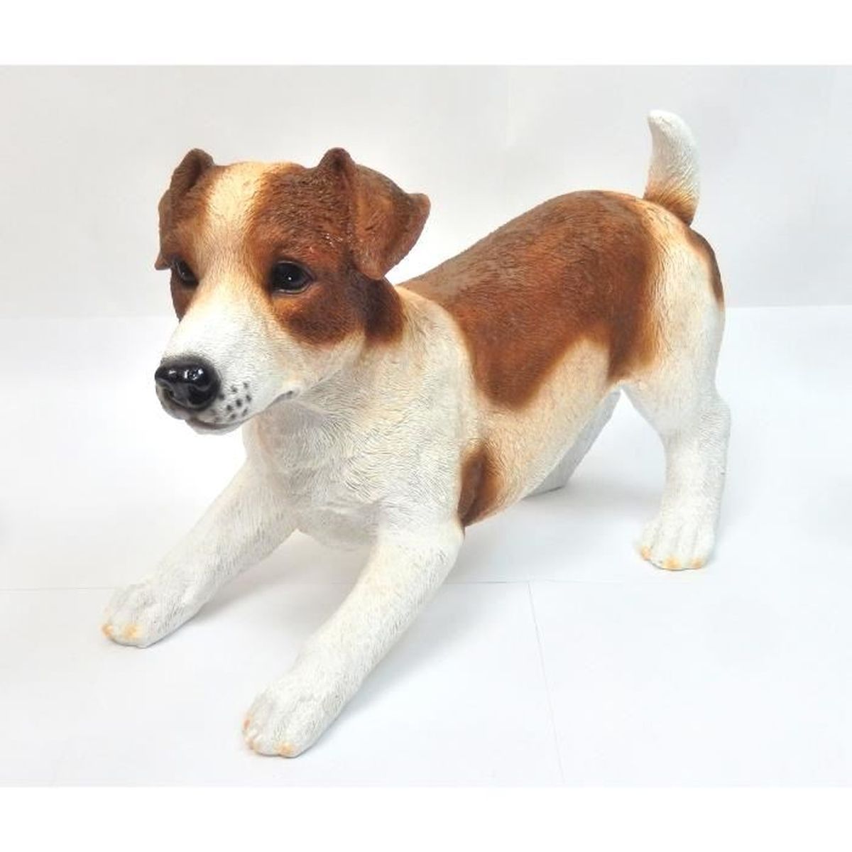 Jack Russel