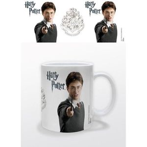 Harry Potter - Mug thermoréactif de la cérémonie de répartition Serpen