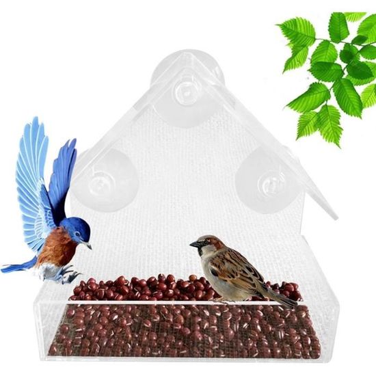I Mangeoire à fenêtre pour oiseaux sauvages transparente I Nichoir