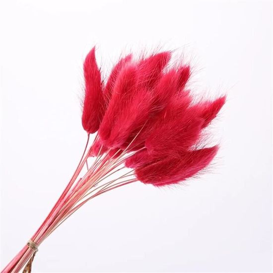 Lot De 10 Herbes De La Pampa Séchées - 55 Cm, Marron, Décoration Bohème, Pour Mariage, Intérieur, Festivals