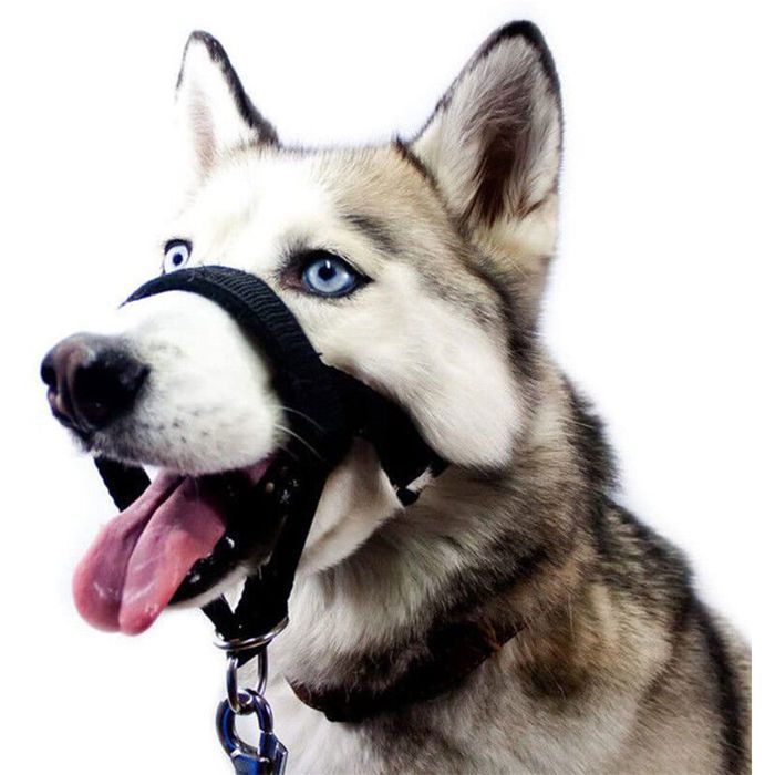 Comparer les prix de Muselières Souples Pour Chien - Muselières Réglables Pour Chiens De Taille Moyenne Respirantes Et Buvables Pour Mordre Aboieme L