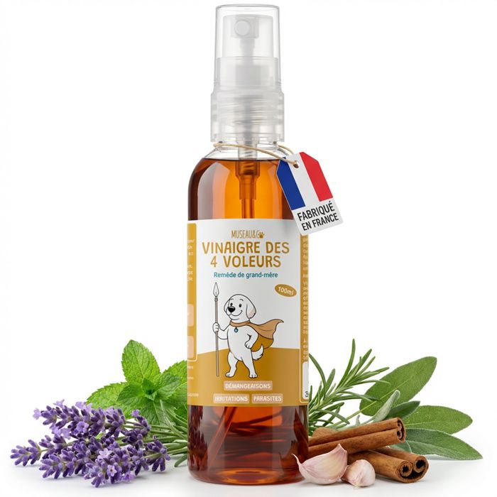 Meilleurs prix pour Museau & Co - Vinaigre des 4 Voleurs 100ml pour chiens et chats