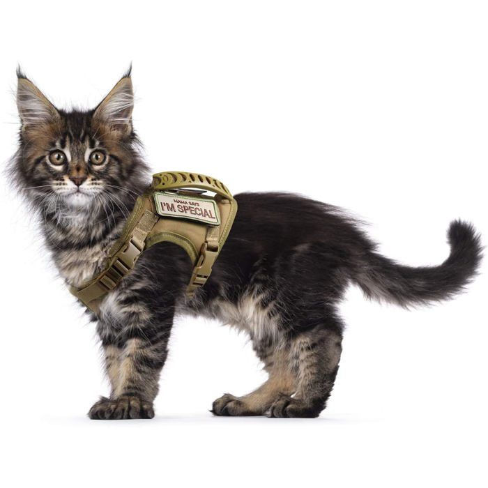 Comparer les prix de Harnais Tactique Anti-Fugue Harnais pour Chat - Maille Souple Réglable