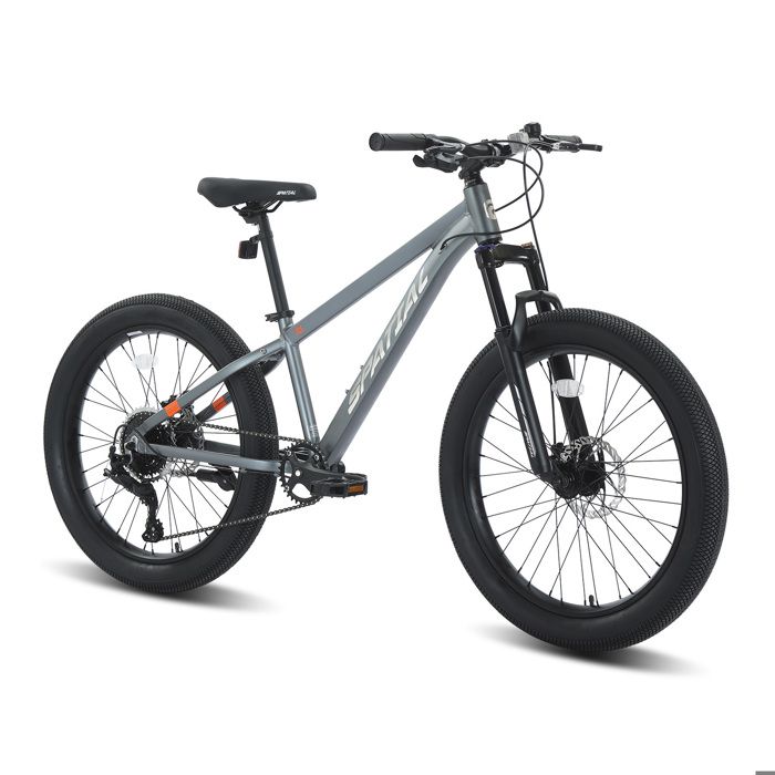 SPATIAL 24*3 Vélo VTT - Shimano 8 Vitesses Unisexe/Adulte Cadre en alliage daluminium- Pour Ville et Loisirs-Gris clair