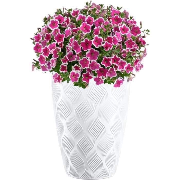 Pots De Fleurs Pot De Fleurs Décoratif Mignon Plantes Succulentes