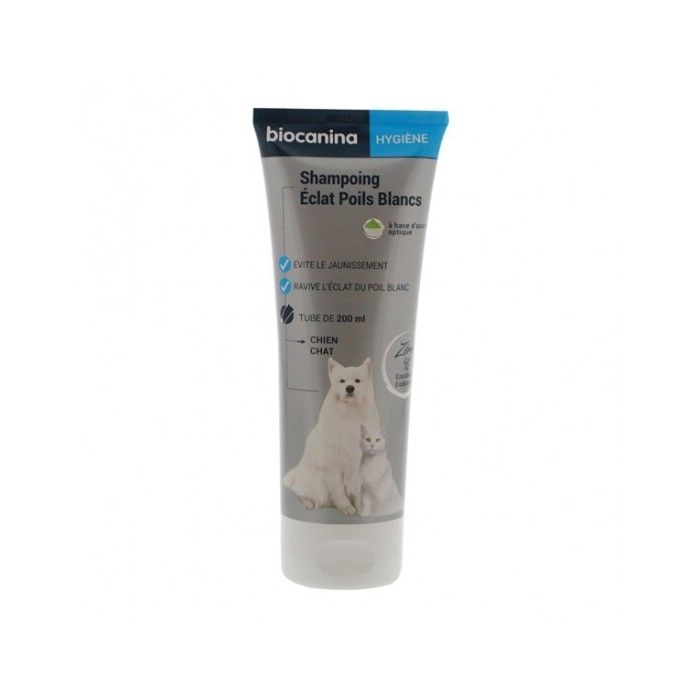 Shampoing Eclat Poils Blancs