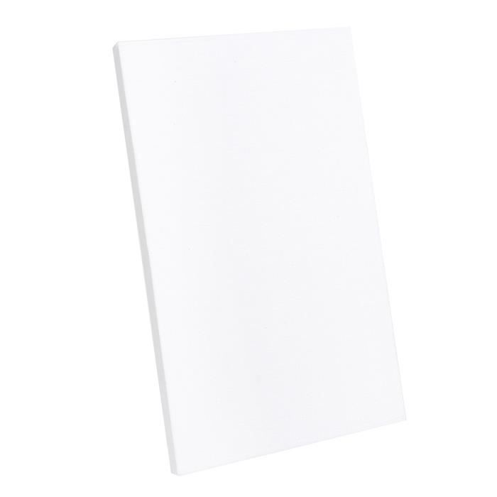 Cadre De Toile Vierge Blanche D Illustration Vectorielle | Vecteur Premium