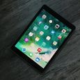 Apple iPad 2017 Wi-Fi 9.7 32 go Tablette -- Gris-3