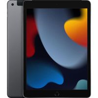 Apple - iPad (2021) - 10,2" WiFi + Cellulaire - 64 Go - Gris Sidéral - Reconditionné - Etat correct