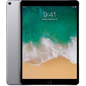 TABLETTE TACTILE iPad Pro (2017) (10.5-inch) - 256 Go - Gris sidéra