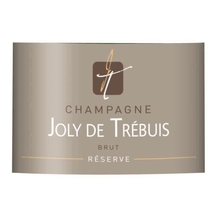 Champagne Joly de Trébuis 75 cl - La cave Cdiscount