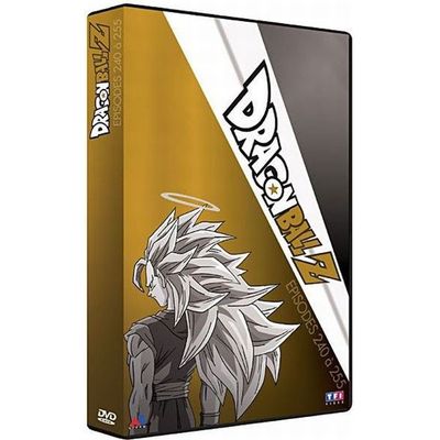 DVD Coffret Dragon Ball Z, vol. 49 à 52 - Cdiscount DVD