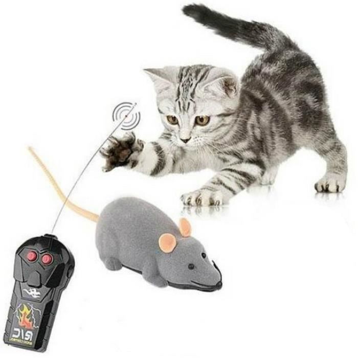 souris chat electronique télécommande jouet chats interactif jouet pour chaton(gris)