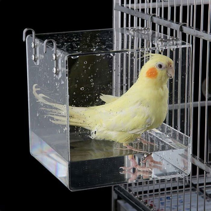 Bain doiseaux acrylique transparent avec crochets - 13x11x13 cm pour perruches et petits oiseaux